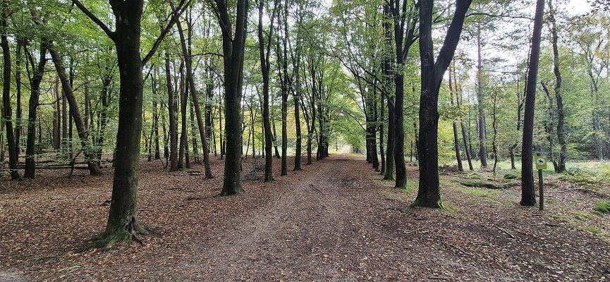 Wandeling over Trage Tocht Overberg