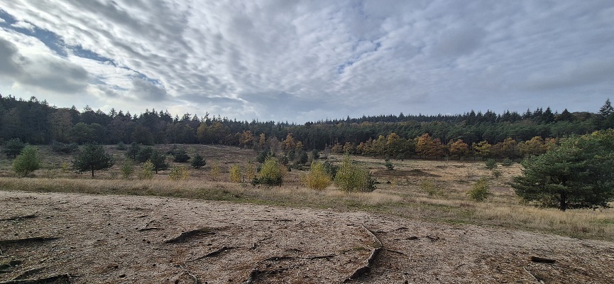 Wandeling over Trage Tocht Overberg