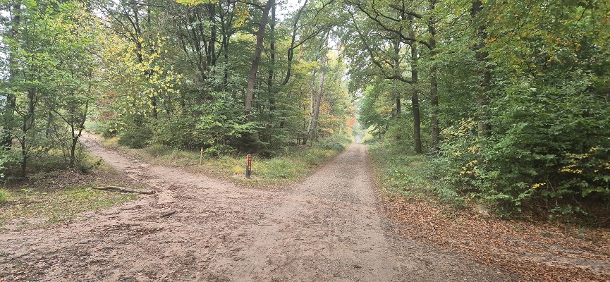 Wandeling over Trage Tocht Overberg