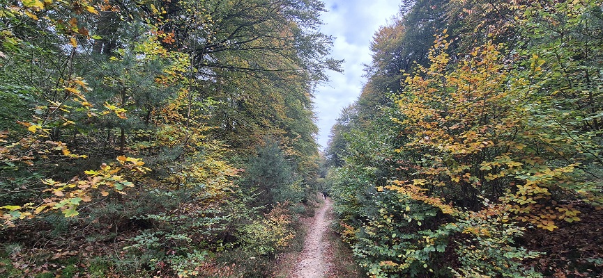 Wandeling over Trage Tocht Overberg