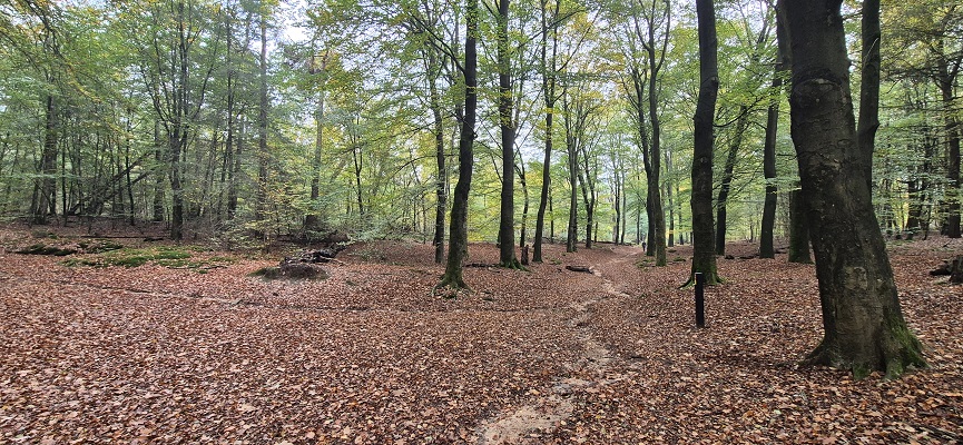 Wandeling over Trage Tocht Overberg