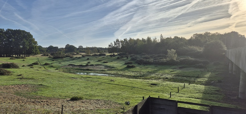 trage-tocht-remmerden-1 Trage Tocht Remmerden bij de faunapassage