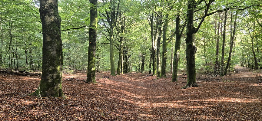 Trage Tocht Remmerden