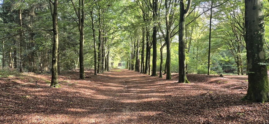 Trage Tocht Remmerden op landgoed Dikkenberg