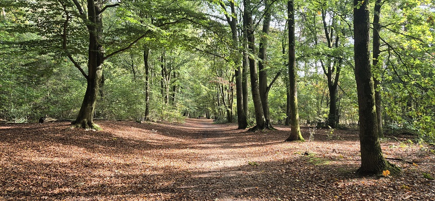 trage-tocht-remmerden-30 Trage Tocht Remmerden