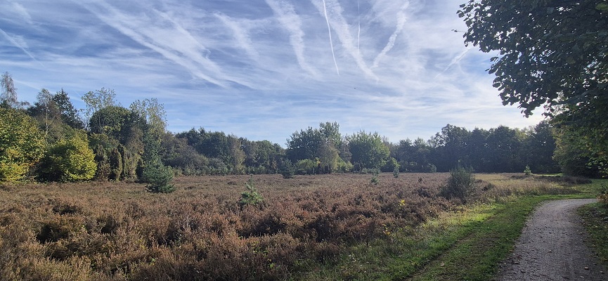 trage-tocht-slangenburg-18 Trage Tocht Slangenburg bij het Besselders Bos