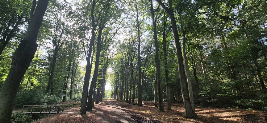 Trage Tocht Slangenburg
