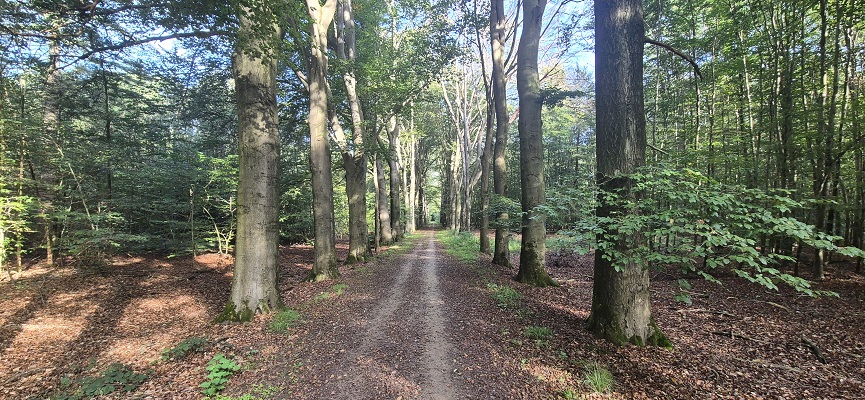 Trage Tocht Slangenburg