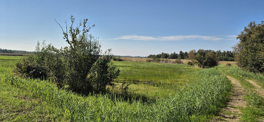 Wandeling over Trage Tocht Naarden Vesting bij het Naardermeer