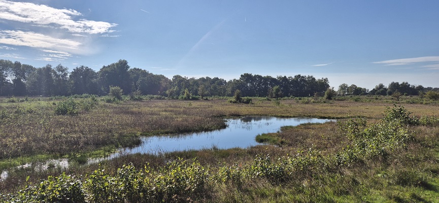Wandeling over Trage Tocht Naarden Vesting bij het Gijzenveen