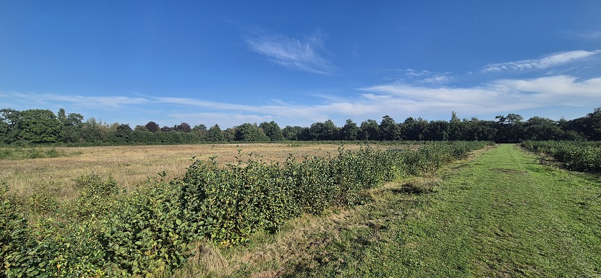 Wandeling over Trage Tocht Naarden Vesting in Zanderij Cruysbergen
