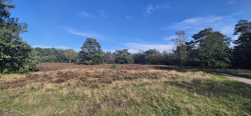 Wandeling over Trage Tocht Naarden Vesting op de Fransche Kampheide