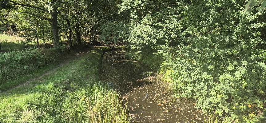 Wandeling Trage Tocht Lochem-Vorden bij de Barchemer Veengoot