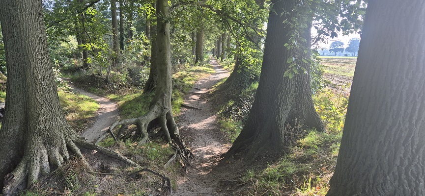 Wandeling Trage Tocht Lochem-Vorden