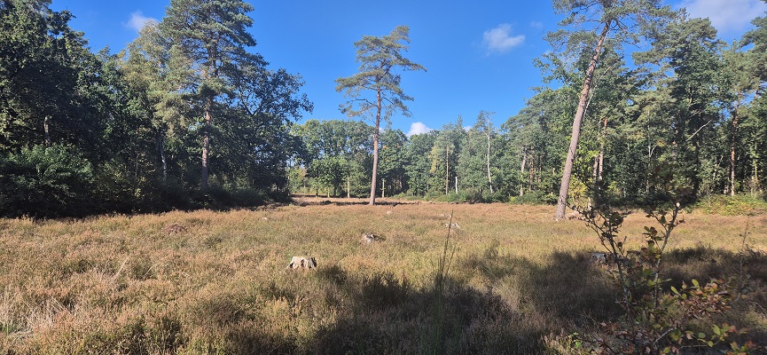 Wandeling Trage Tocht Lochem-Vorden