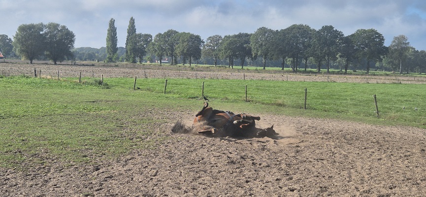 Wandeling Trage Tocht Lochem-Vorden
