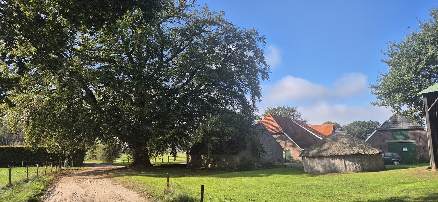 Wandeling Trage Tocht Lochem-Vorden