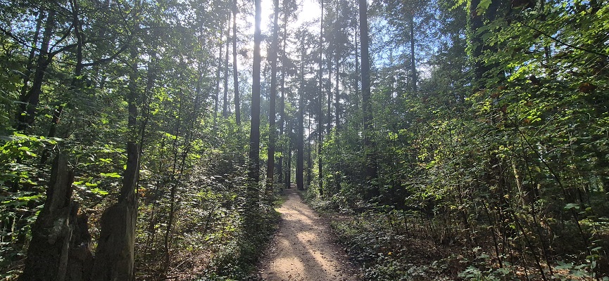 Wandeling Trage Tocht Lochem-Vorden op de Paaschberg