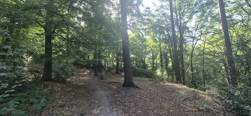 Wandeling Trage Tocht Lochem-Vorden op de Paaschberg