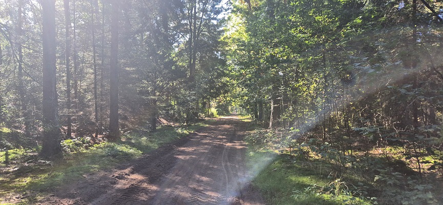 Wandeling Trage Tocht Lochem-Vorden bij Bronsbergen
