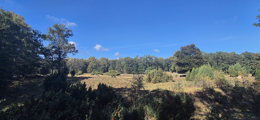 Wandeling Trage Tocht Lochem-Vorden bij Bronsbergen