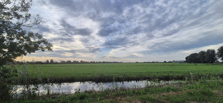 trage-tocht-wilnis-15 Wandeling over Trage Tocht Wilnis bij de Demmerikse Polder