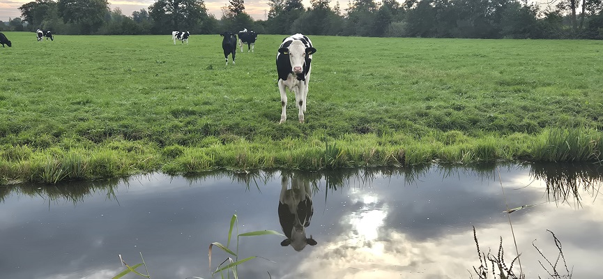 Wandeling over Trage Tocht Wilnis