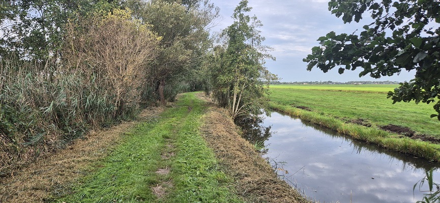 Wandeling over Trage Tocht Wilnis bij de Veenkade