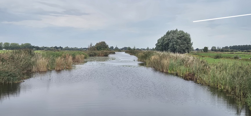 trage-tocht-wilnis-28 Wandeling over Trage Tocht Wilnis bij de Bijleveld