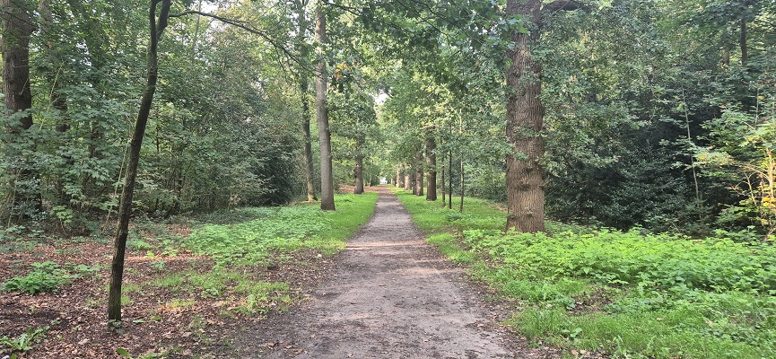 trage-tocht-zeist-18 Wandeling over Trage Tocht Zeist bij landgoed Hoog Beek en Royen