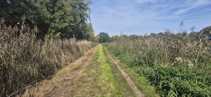 trage-tocht-zeist-30 Wandeling over Trage Tocht Zeist bij landgoed Blikkenburg