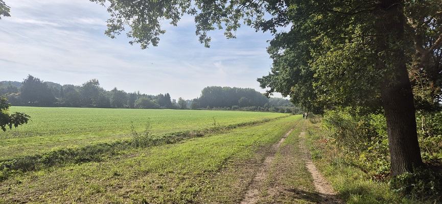 trage-tocht-zeist-34 Wandeling over Trage Tocht Zeist bij de Bunzing